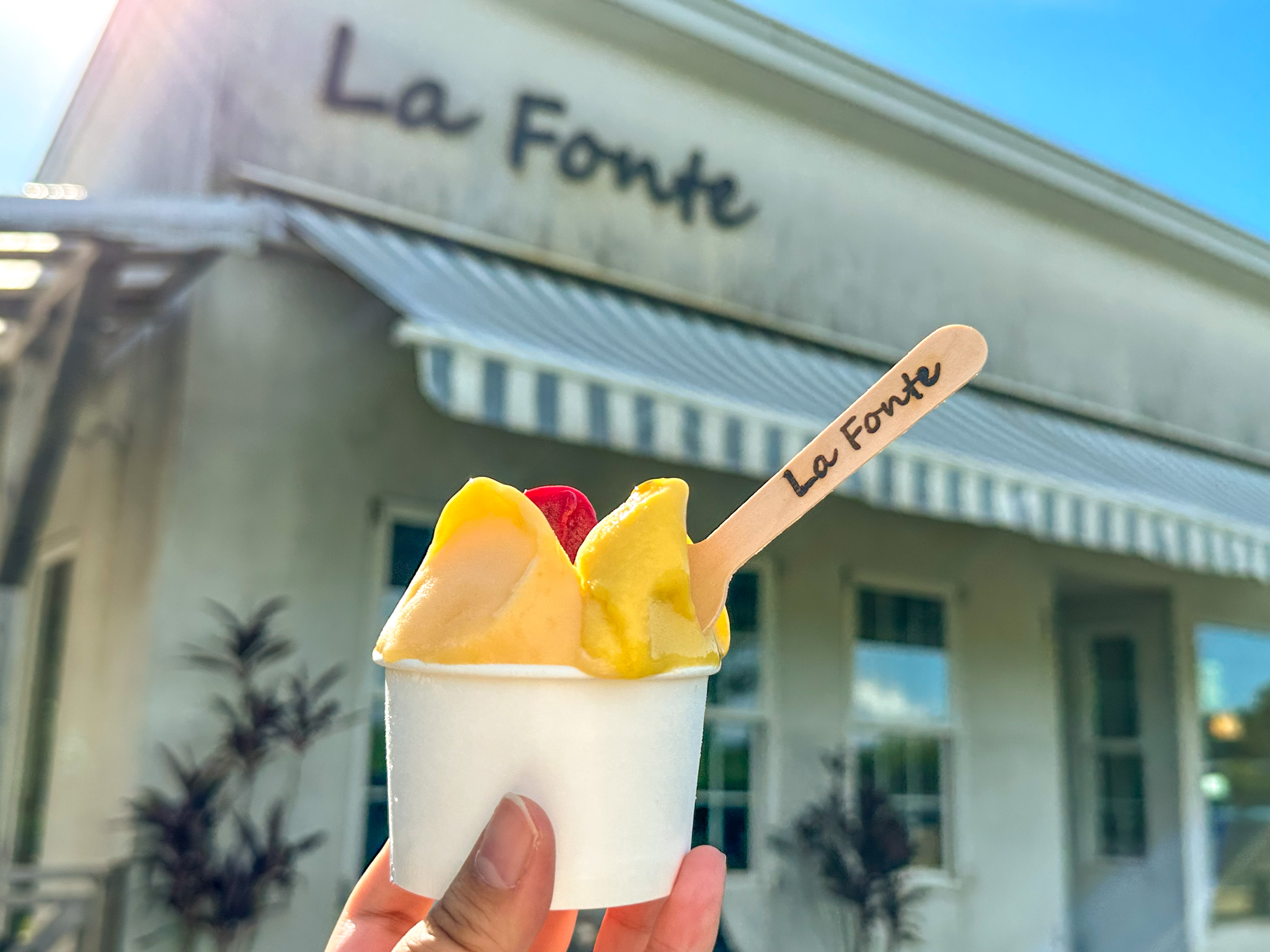 La Fonte